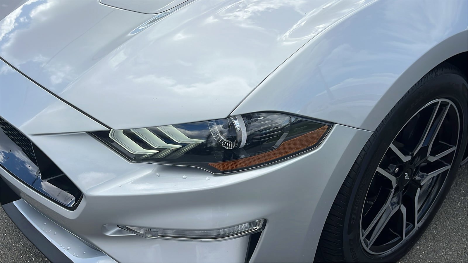 Used 2019 Ford Mustang GT Premium image 7