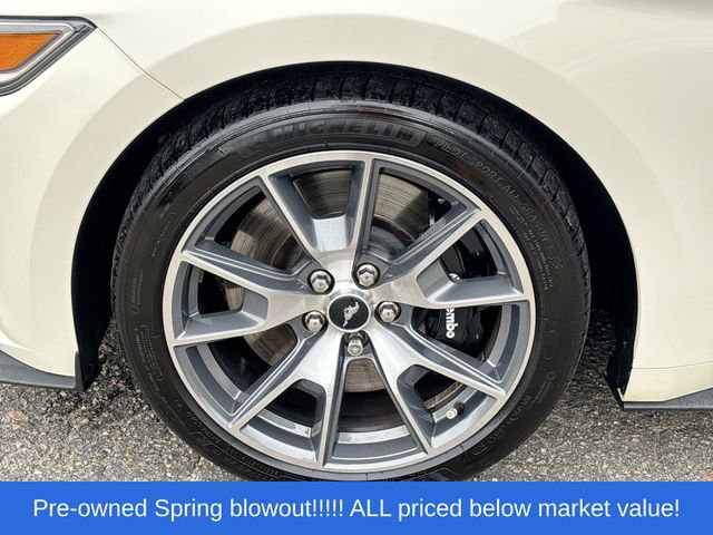 Used 2015 Ford Mustang 50 Years RWD image 13