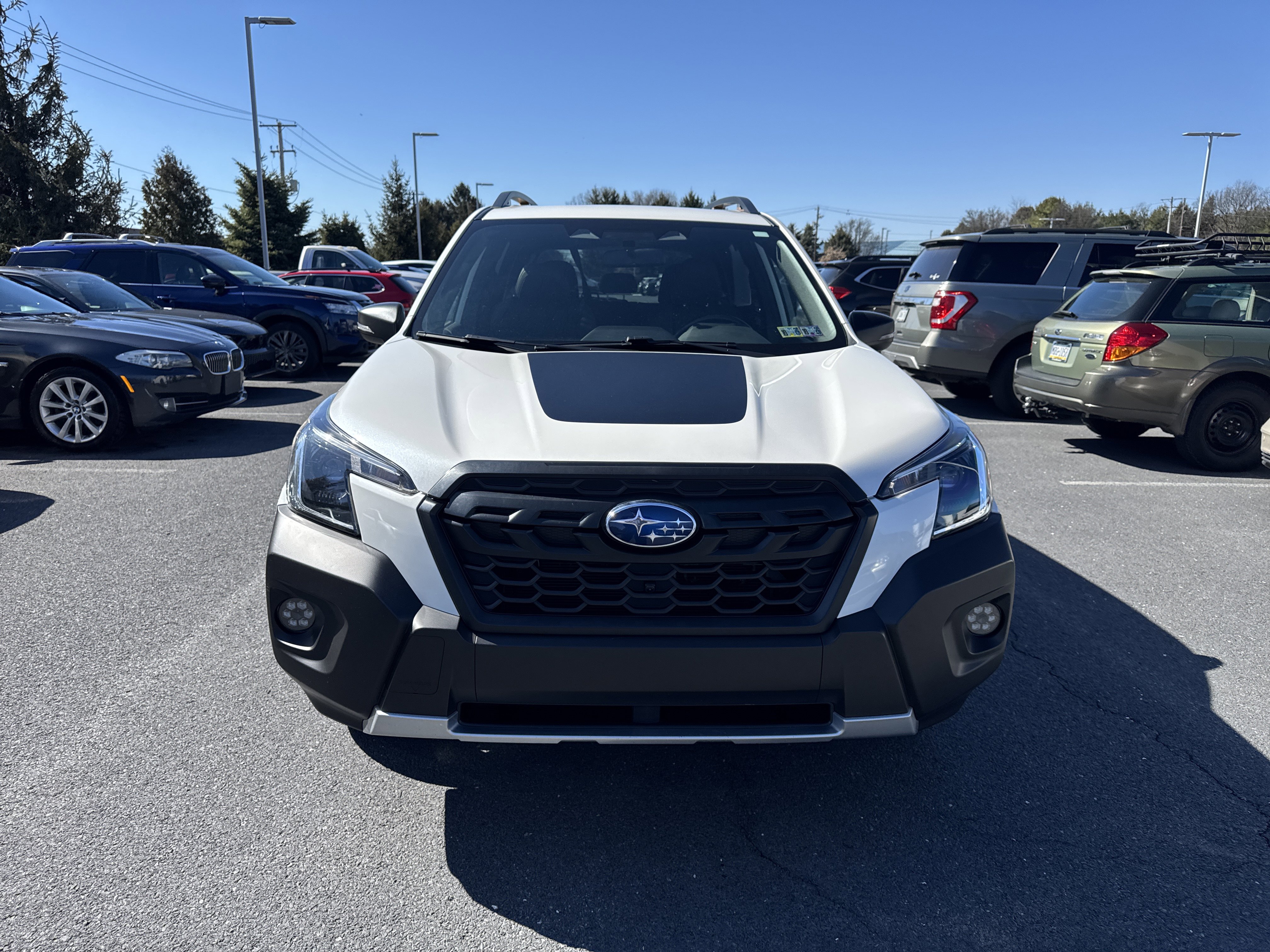 Used 2023 Subaru Forester Wilderness image 3