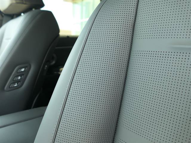 New 2026 Hyundai Palisade Calligraphy image 7