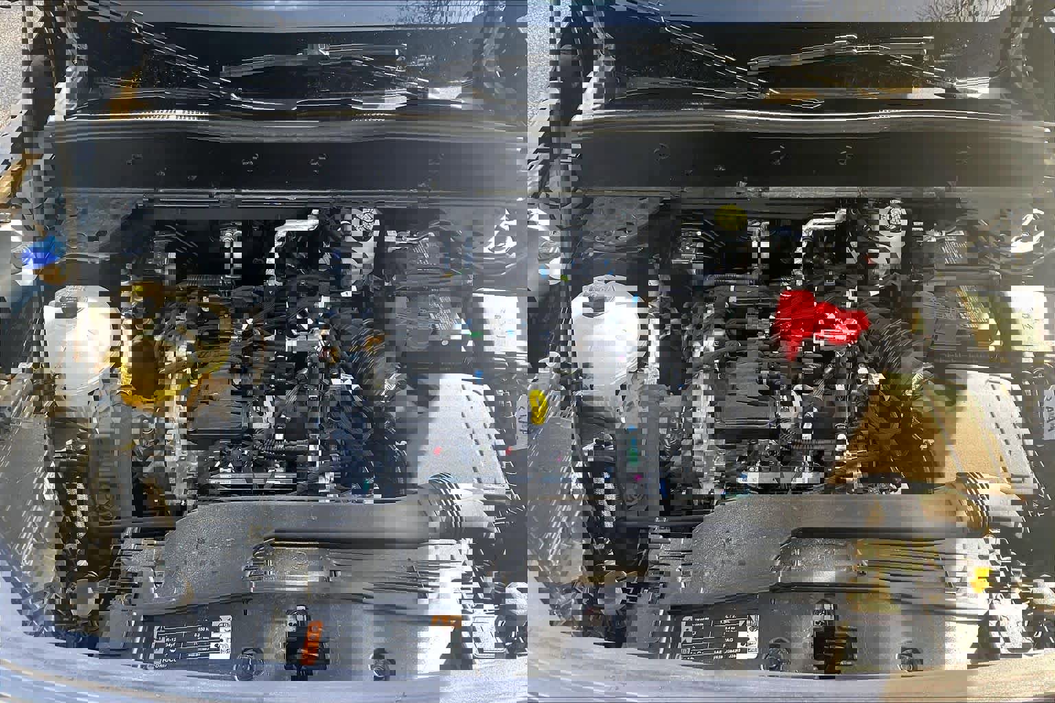 Used 2024 Ford Bronco Sport Big Bend w/ Convenience Package image 31