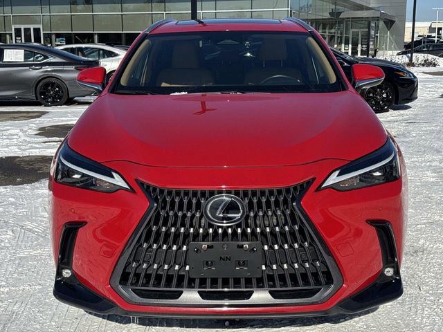 Used 2025 Lexus NX 350 AWD w/ Cold Area Package image 2