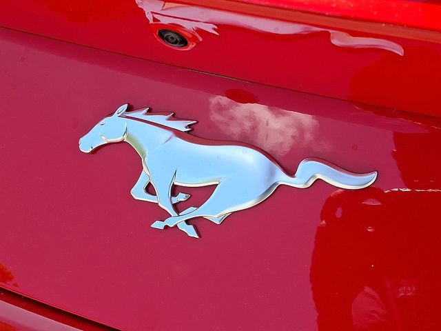 Used 2025 Ford Mustang Premium RWD image 24