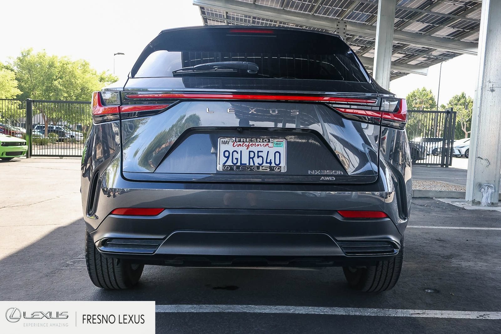 Certified 2024 Lexus NX 350h AWD w/ Cold Area Package image 5