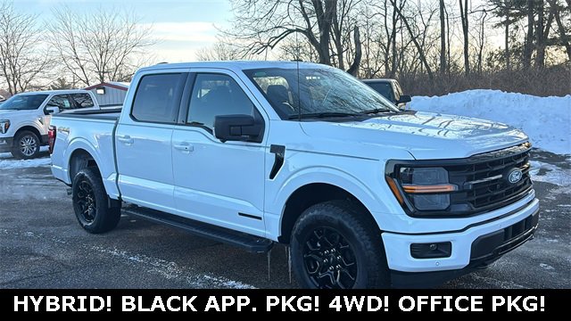 New 2025 Ford F150 XLT w/ Equipment Group 302A MID image 22