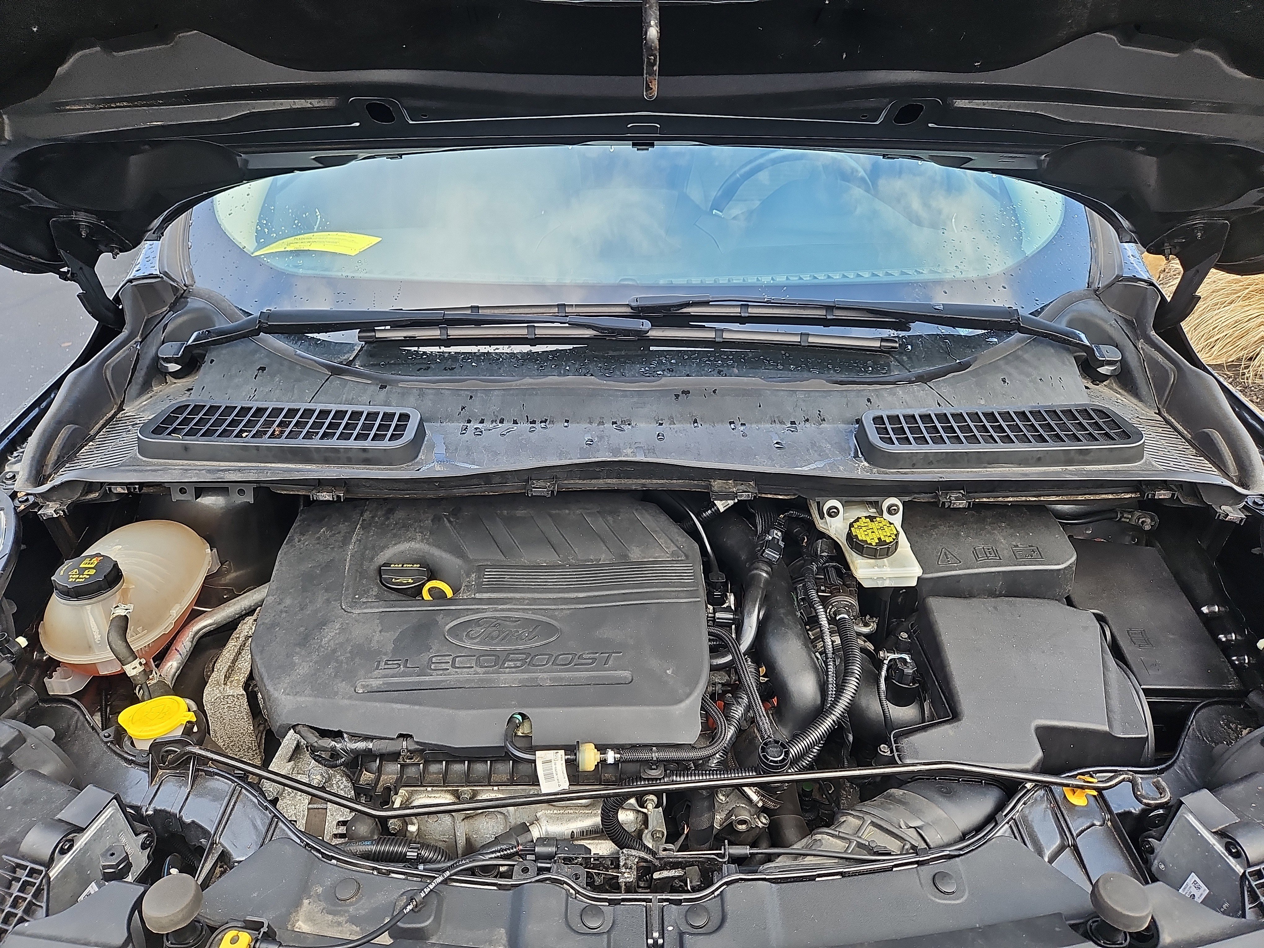 Used 2018 Ford Escape SE w/ SE Sport Appearance Package image 29