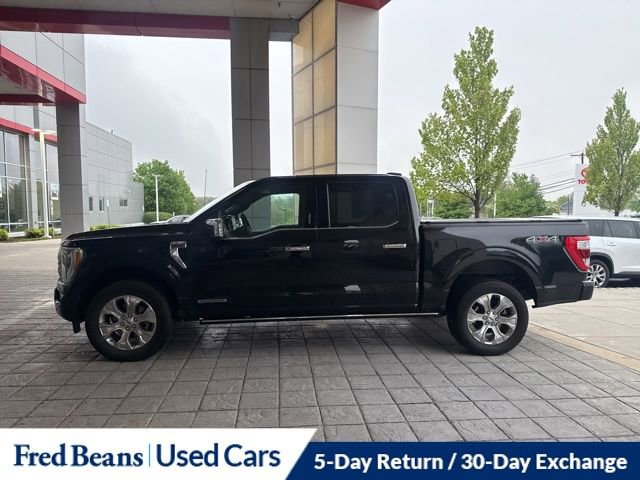 Used 2023 Ford F150 Platinum w/ Equipment Group 701A High AWD/4WD image 16