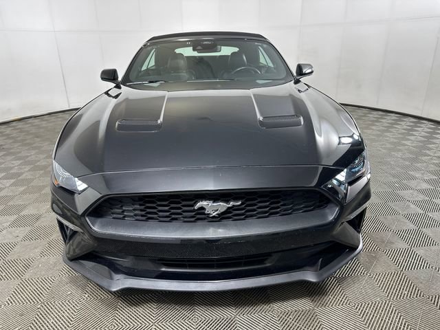 Used 2023 Ford Mustang Premium image 8