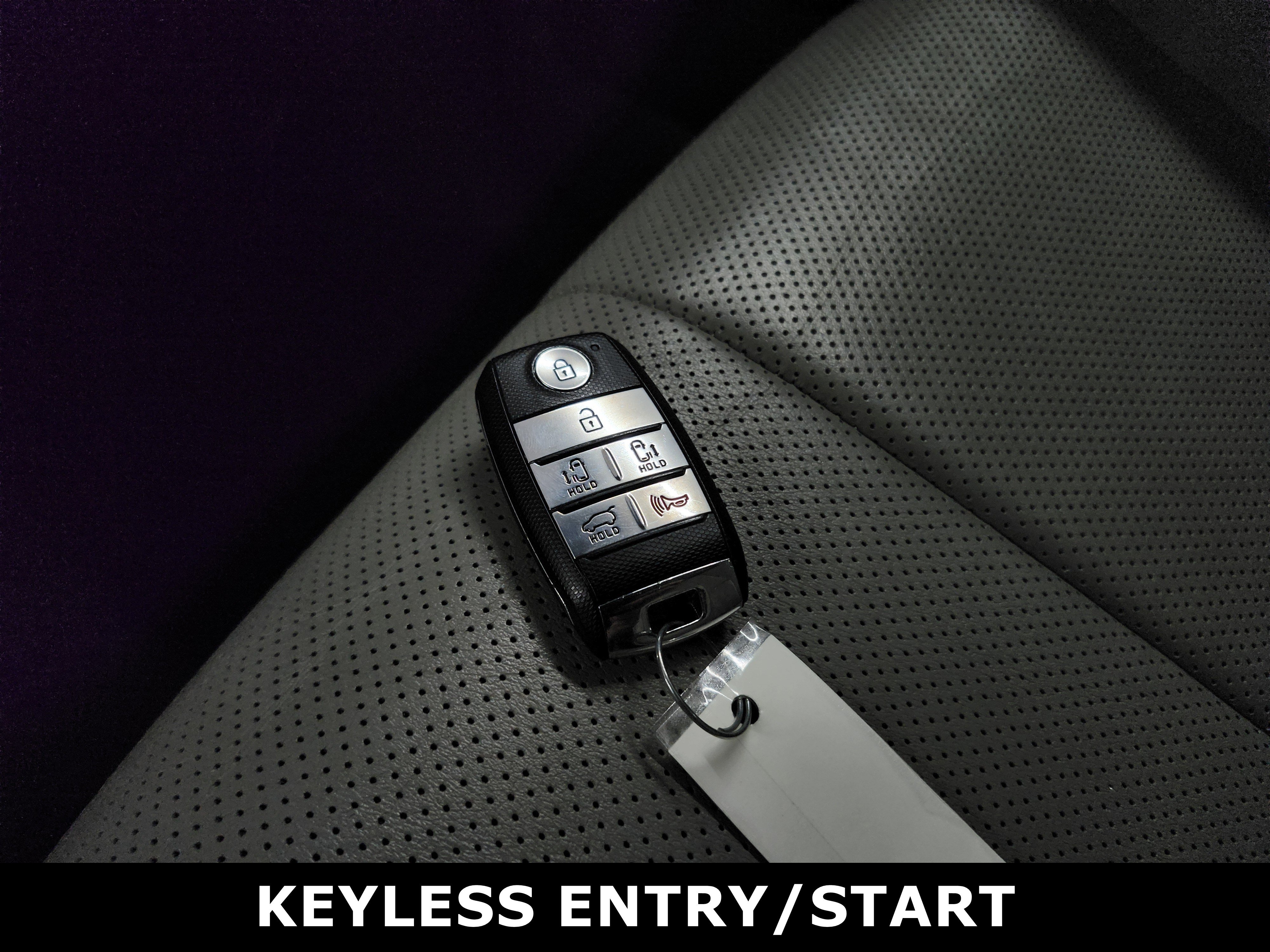 Used 2015 Kia Sedona SX image 15