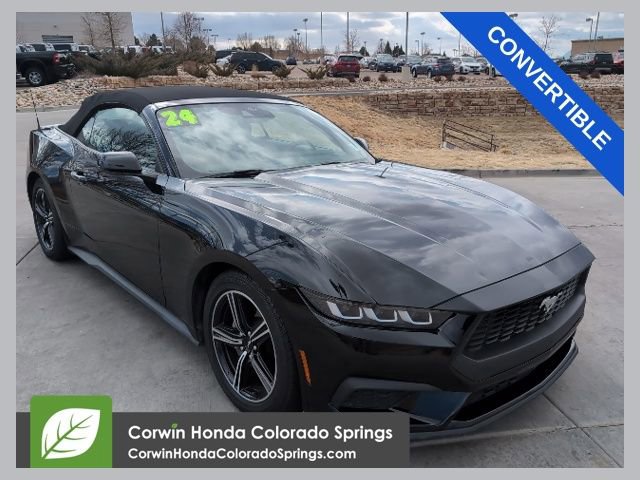 Used 2024 Ford Mustang Premium image 1