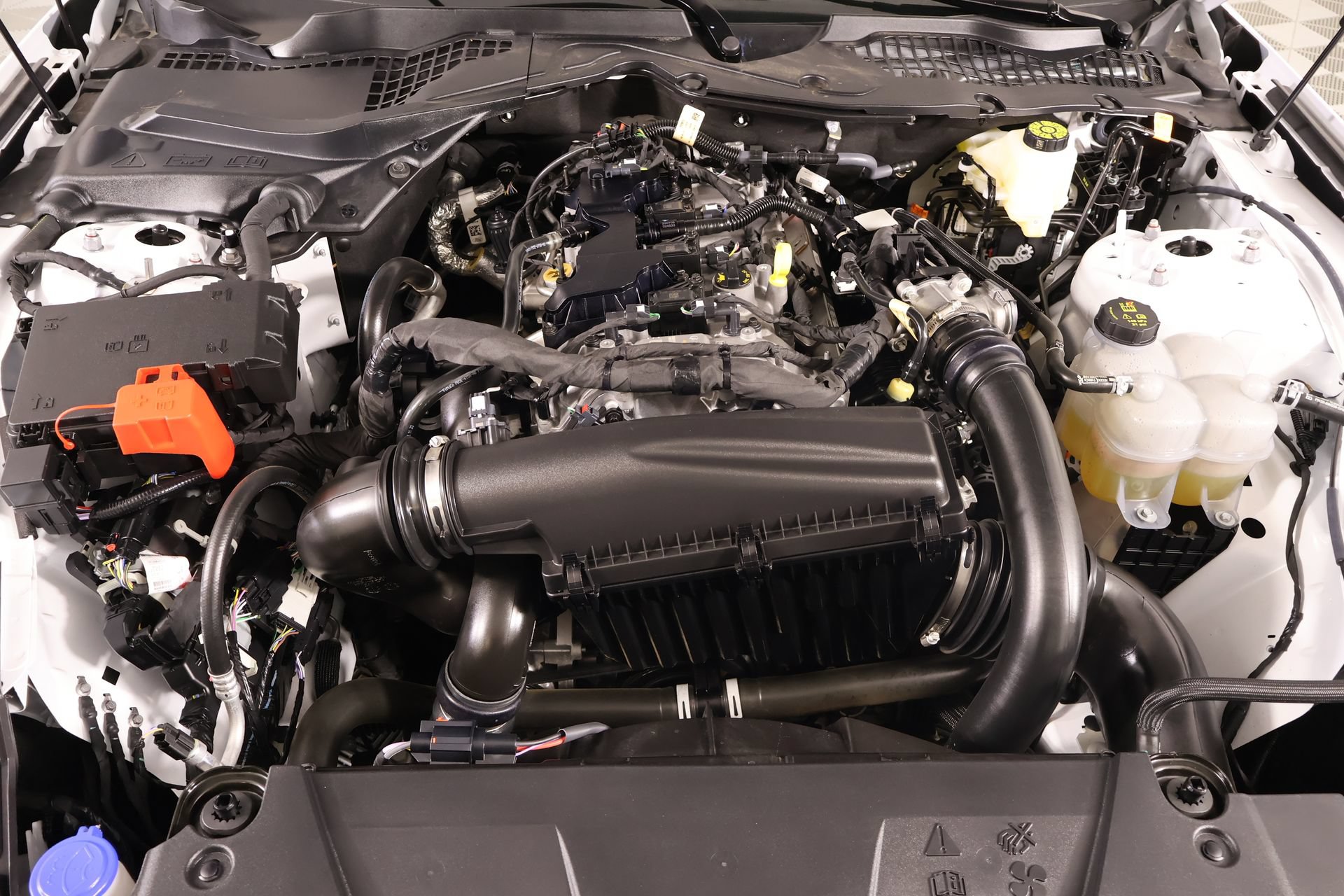 Used 2024 Ford Mustang Coupe RWD image 17