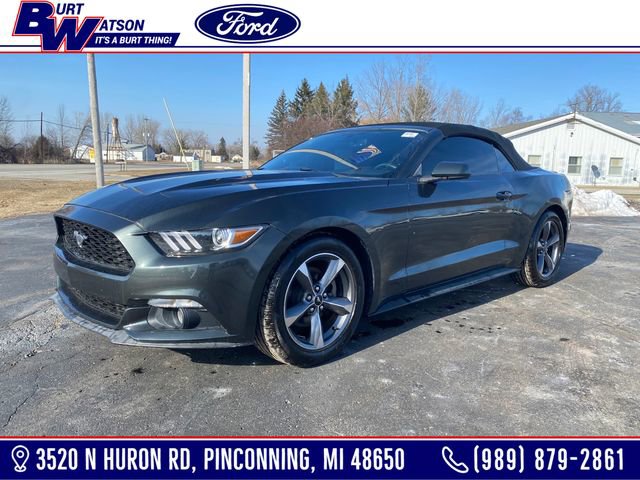 Used 2015 Ford Mustang Convertible w/ Equipment Group 051A image 1