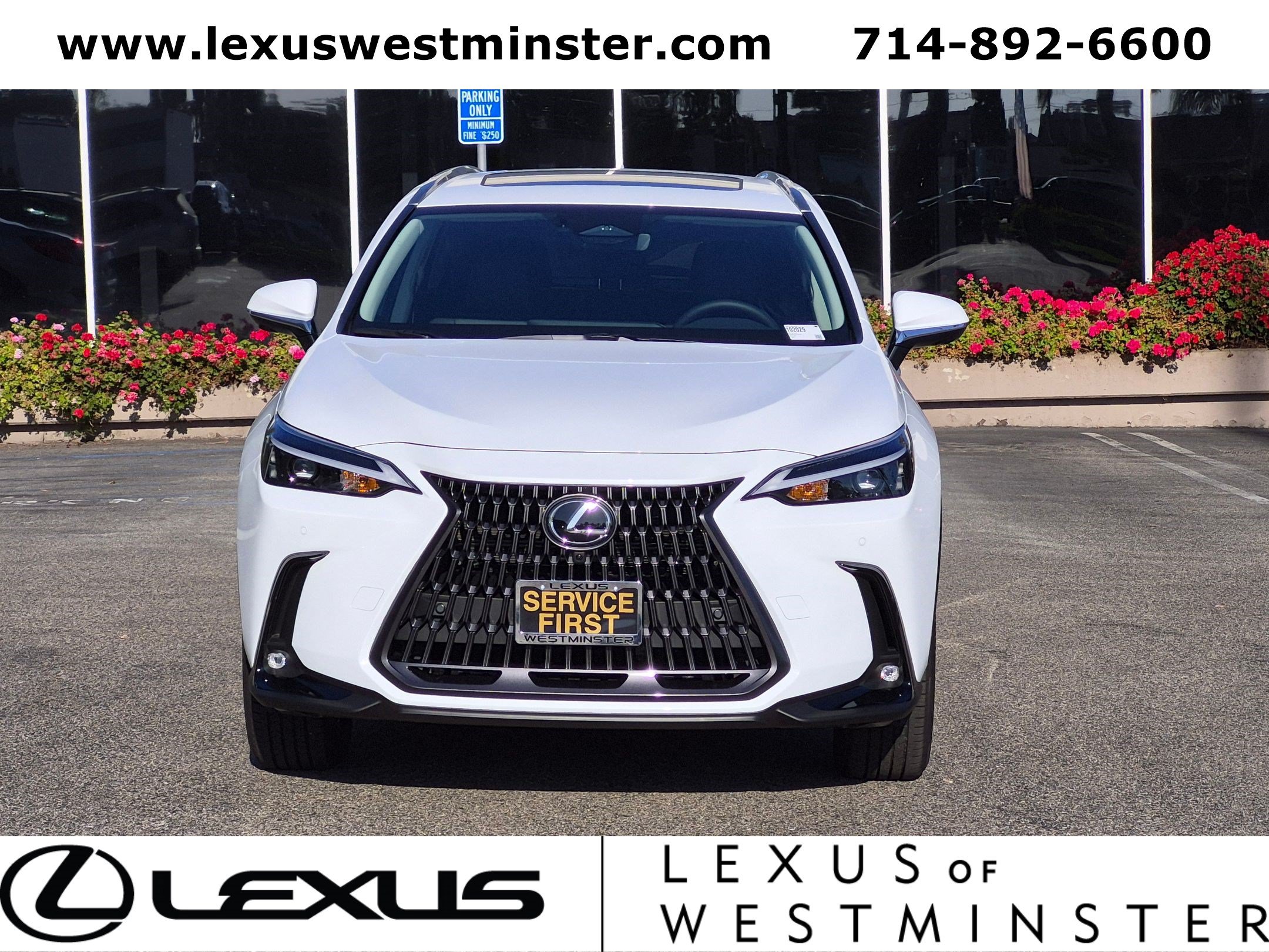 New 2026 Lexus NX 450h+ AWD w/ Luxury Package image 2