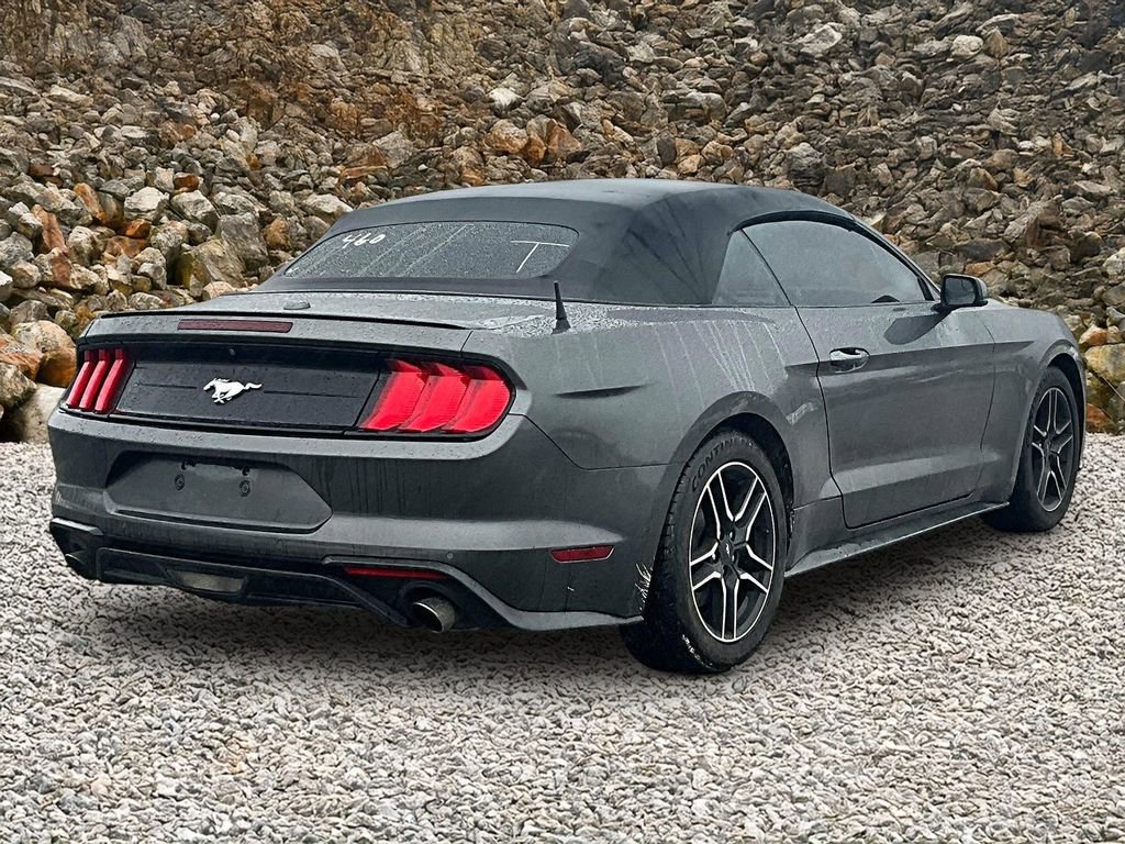 Used 2018 Ford Mustang Premium image 2