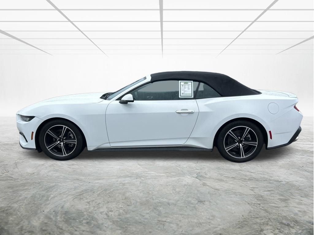 Used 2024 Ford Mustang Premium image 7
