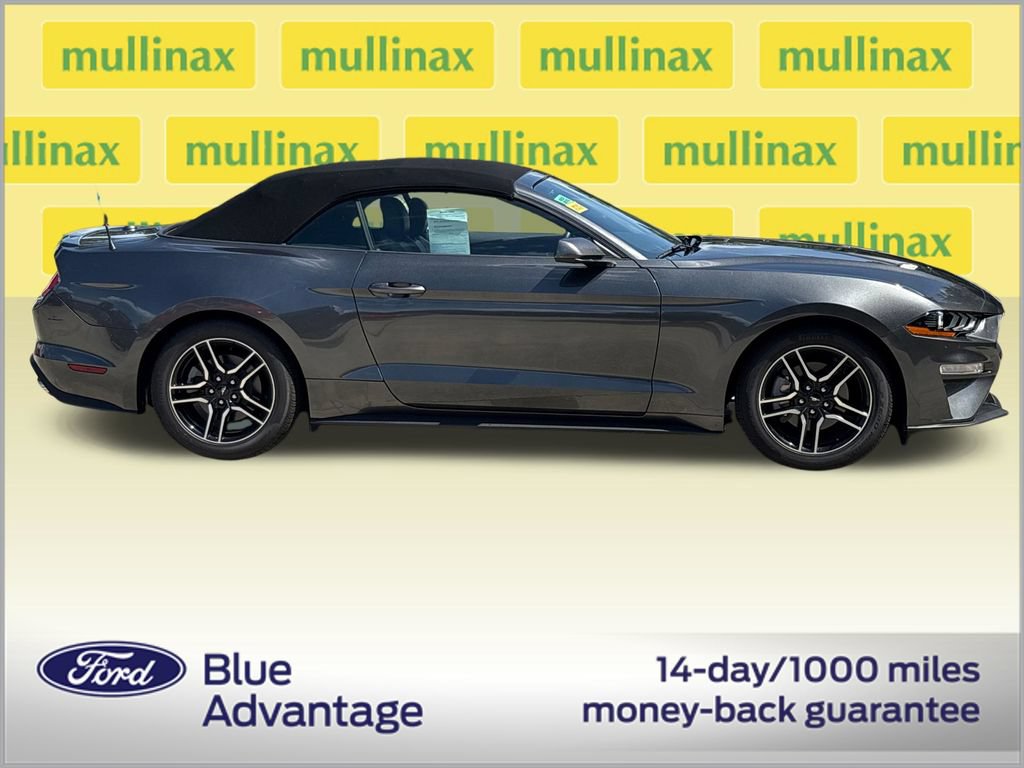 Used 2019 Ford Mustang Premium w/ Equipment Group 201A RWD video 2