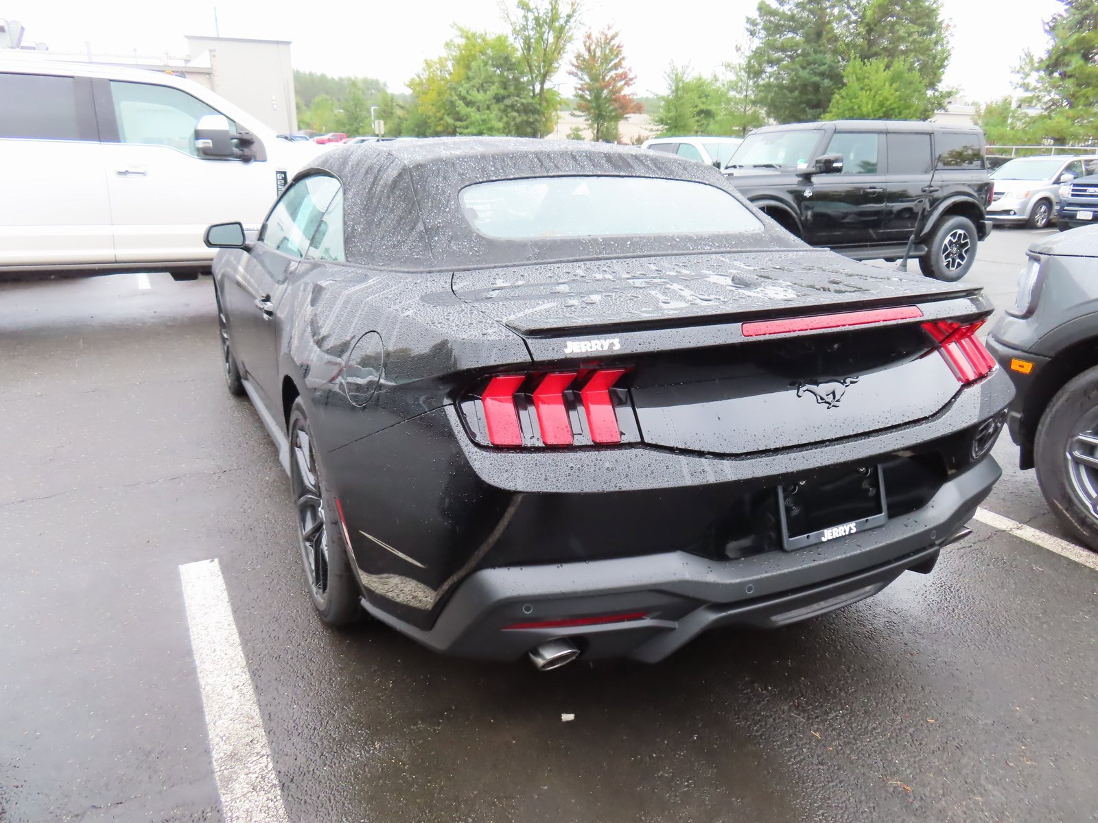 New 2025 Ford Mustang EcoBoost w/ Mustang Nite Pony Package image 6