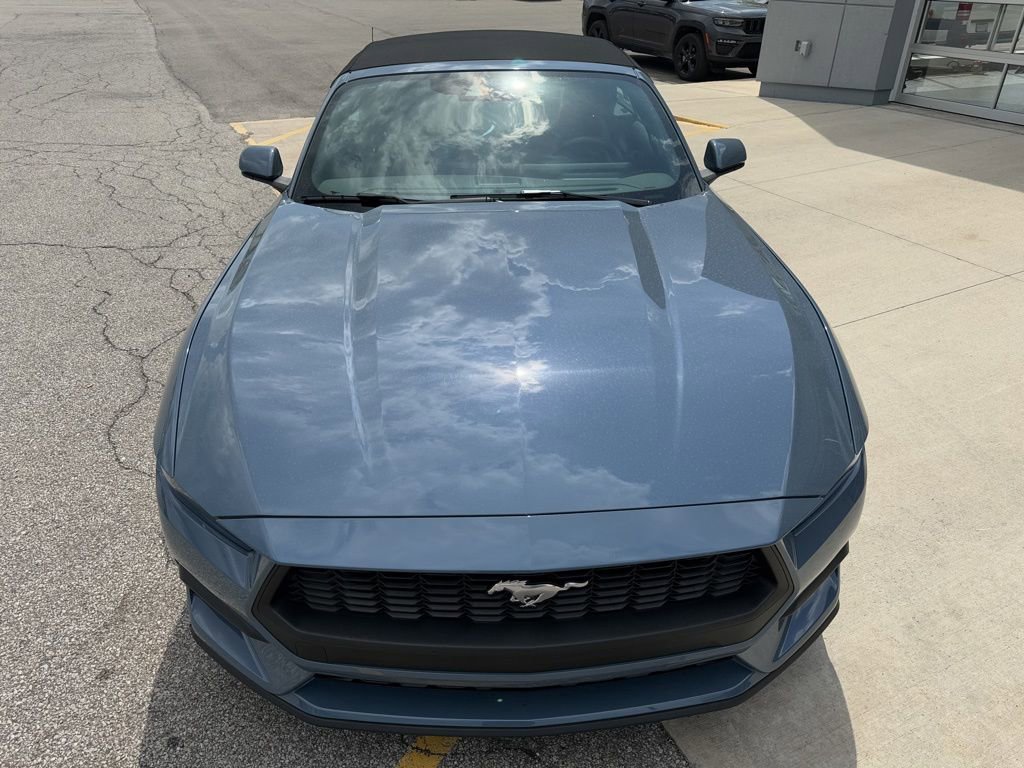 Used 2025 Ford Mustang Premium RWD image 10