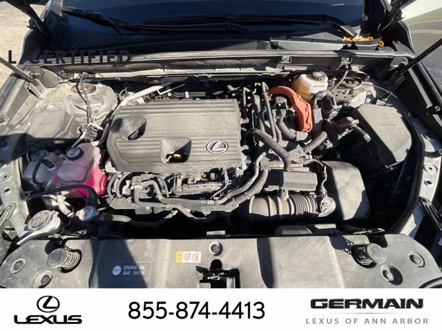 Certified 2025 Lexus NX 350h AWD w/ Cold Area Package image 24