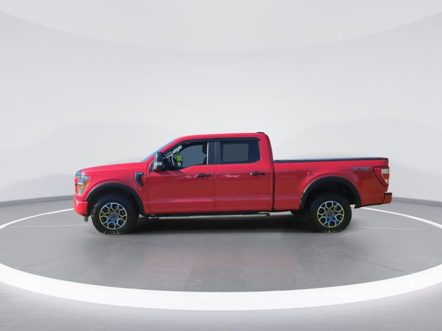 Used 2021 Ford F150 XL w/ STX Appearance Package AWD/4WD image 5