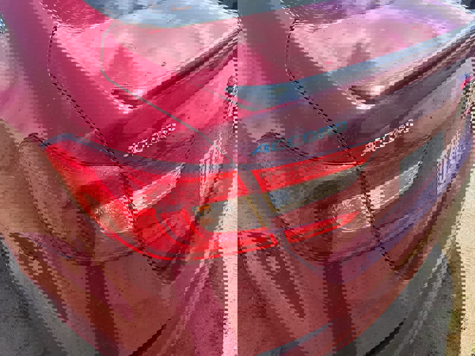 Used 2021 Honda Accord Sport Special Edition image 11