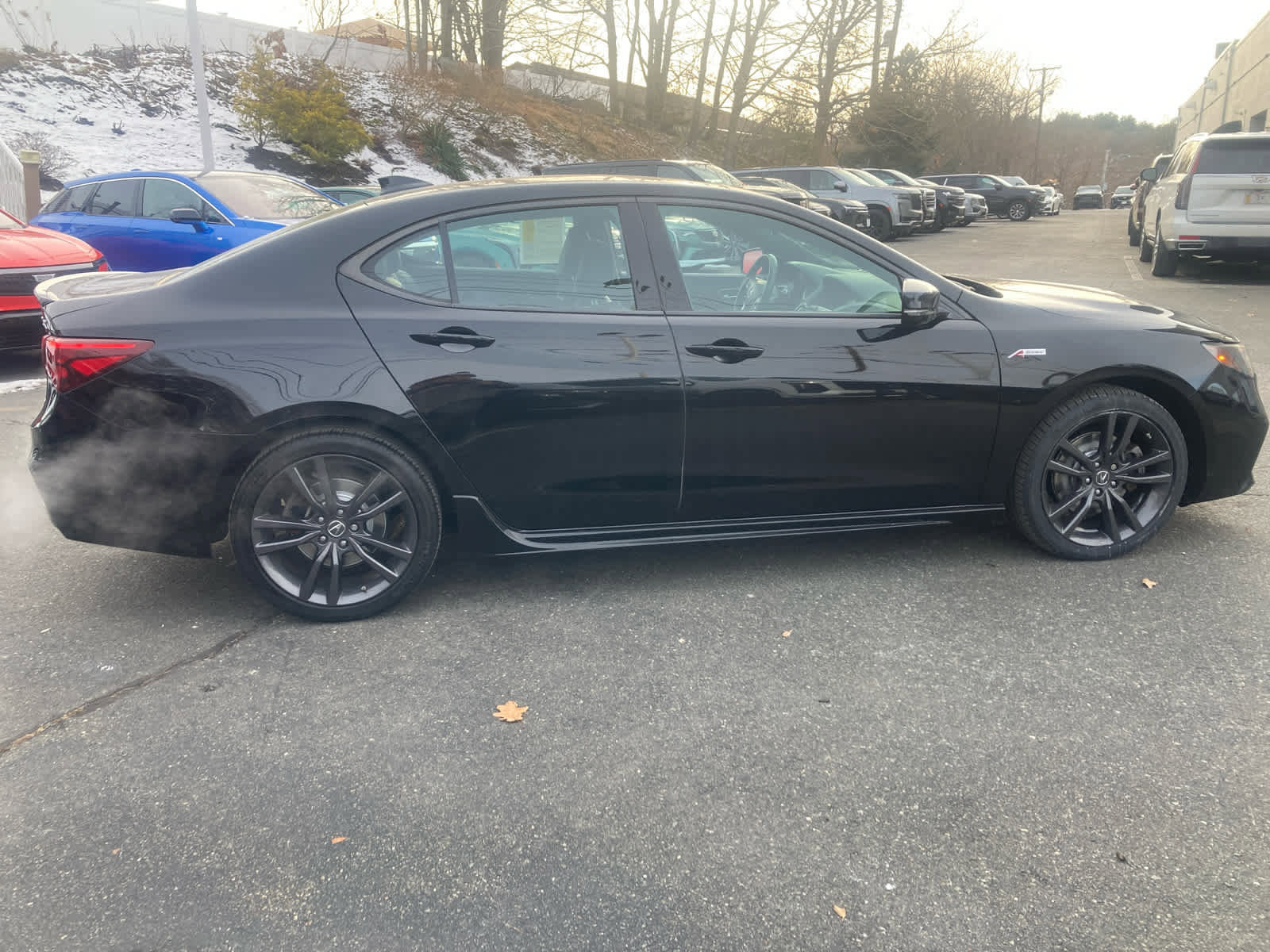 Used 2020 Acura TLX Type S PMC Edition image 5