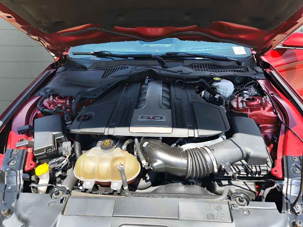 Used 2019 Ford Mustang GT Premium w/ Equipment Group 401A image 23