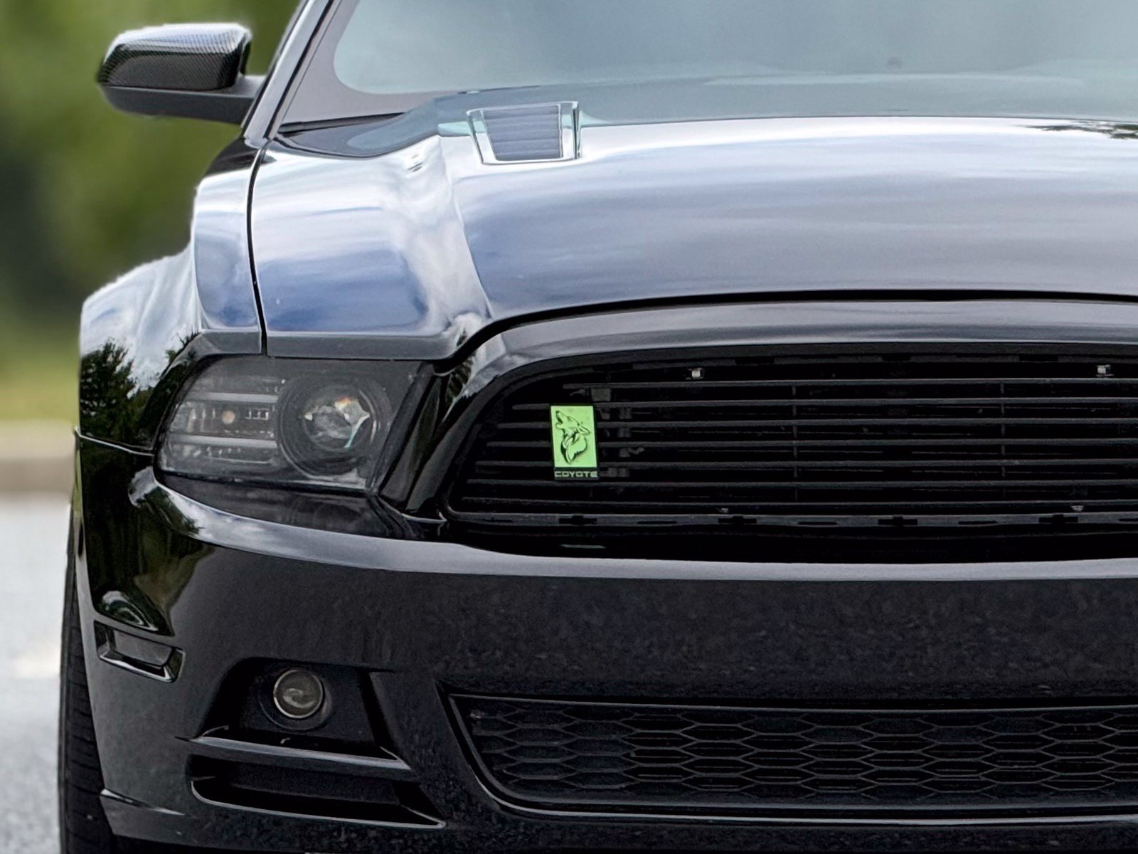 Used 2014 Ford Mustang GT RWD image 14