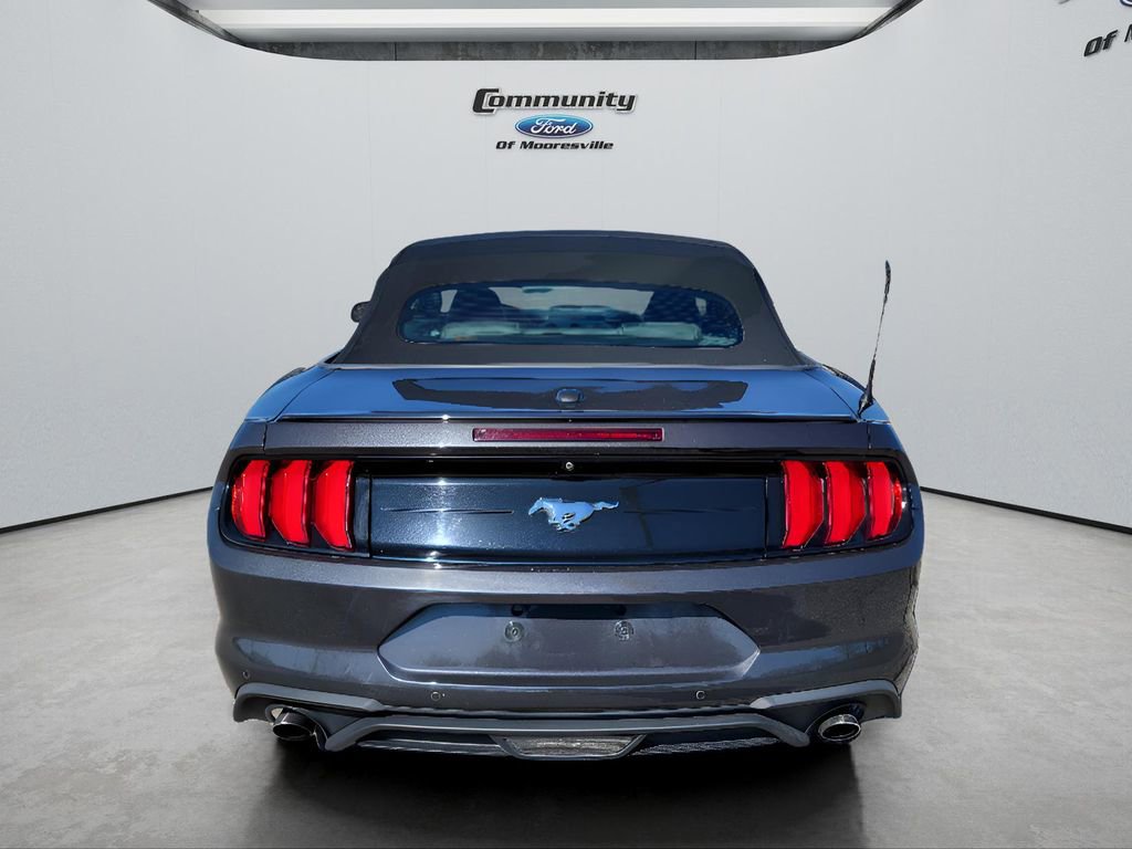Used 2023 Ford Mustang Premium image 7