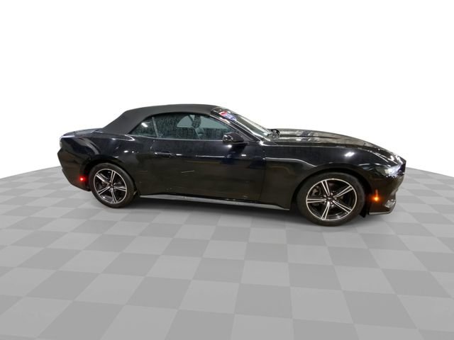 Used 2024 Ford Mustang Premium RWD image 3