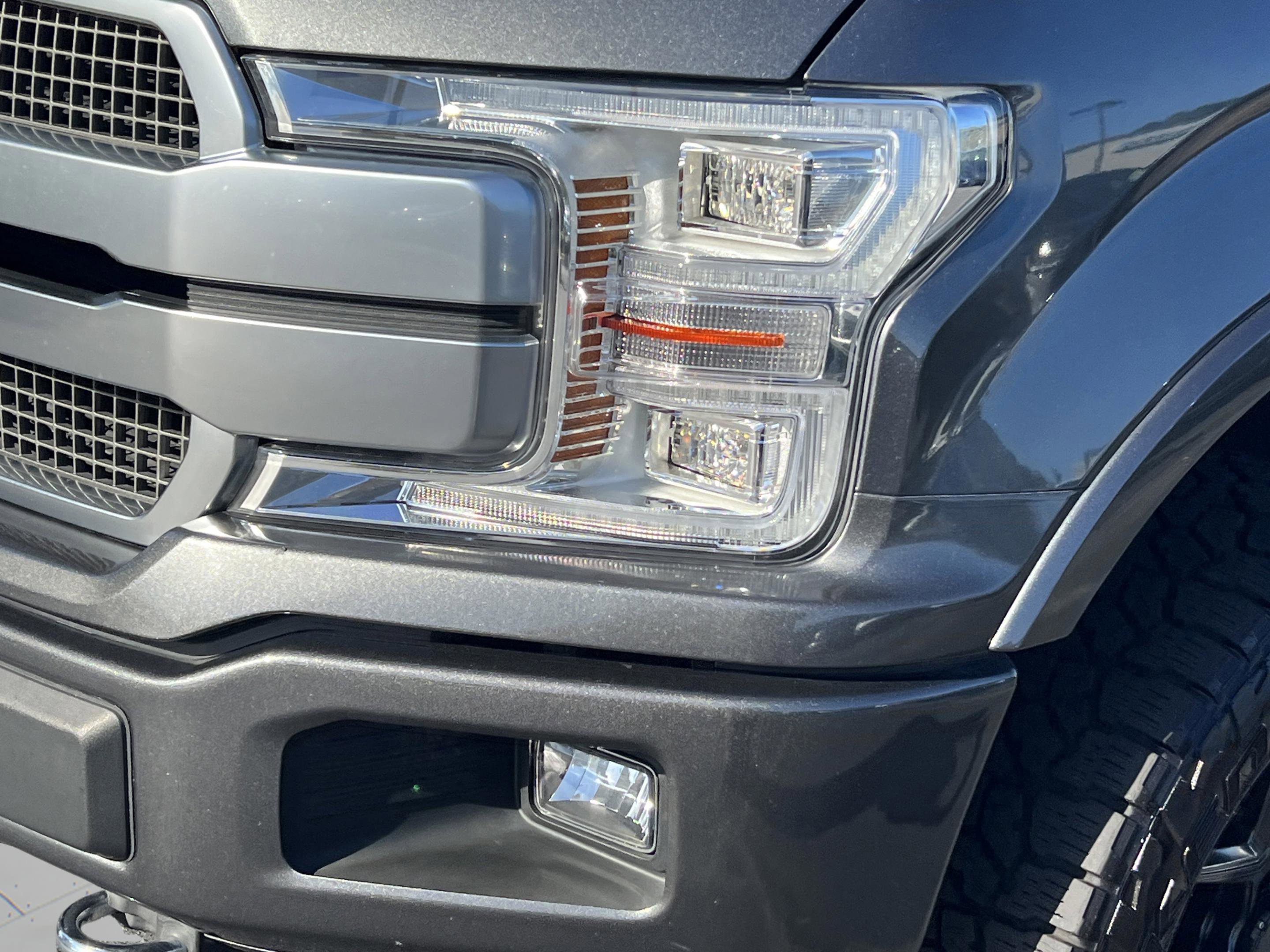 Used 2019 Ford F150 Platinum w/ Equipment Group 701A Luxury image 12