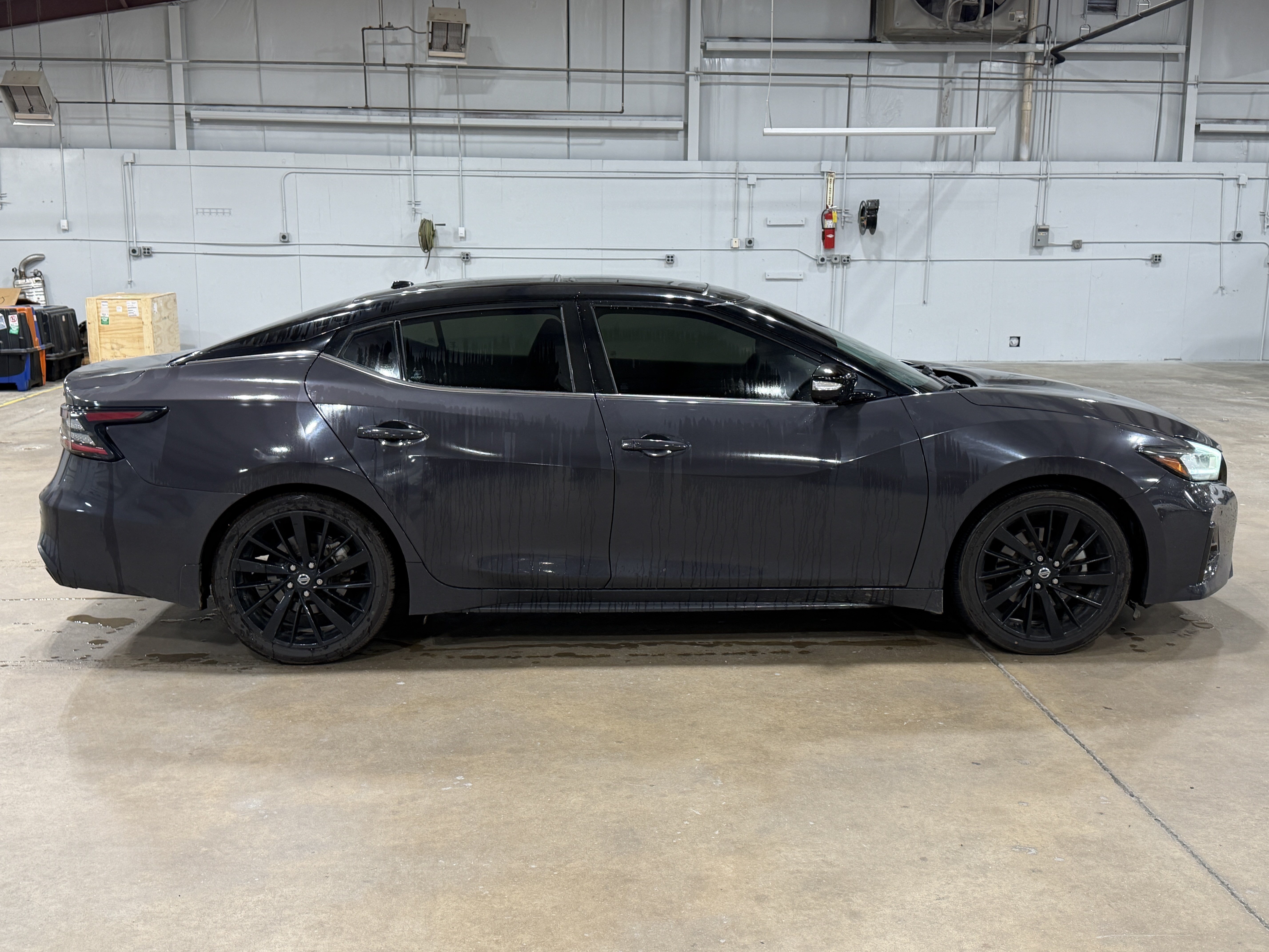 Used 2021 Nissan Maxima Platinum w/ 40th Anniversary Package FWD image 12