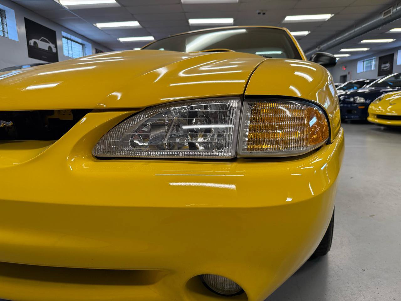 Used 1998 Ford Mustang Cobra RWD image 26