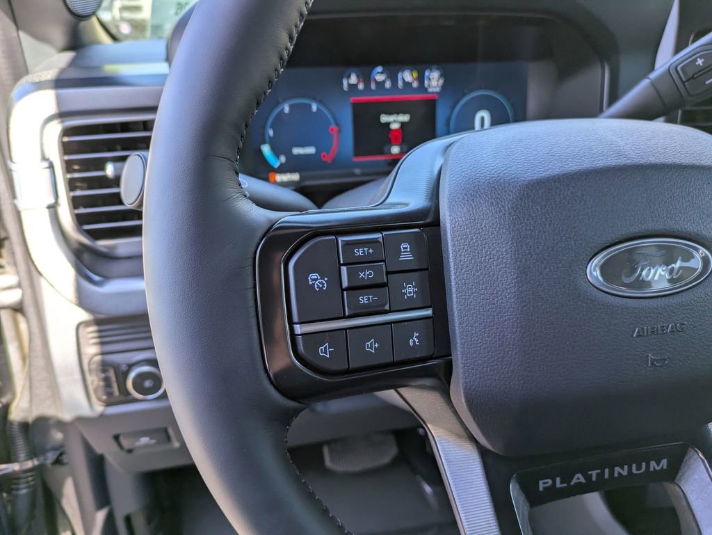New 2025 Ford F250 Platinum image 21