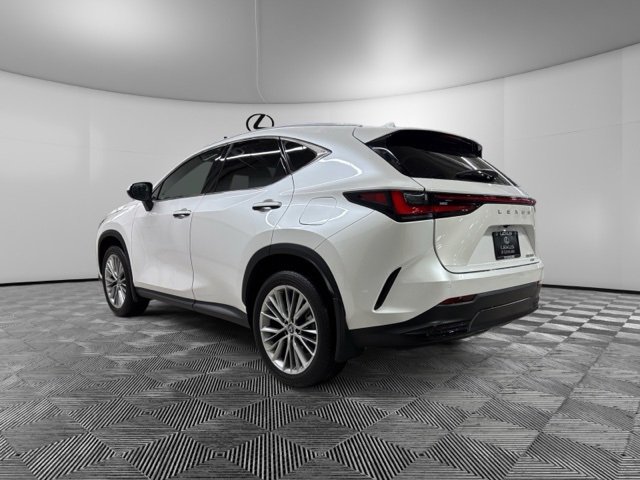 Used 2025 Lexus NX 350 AWD w/ Premium Package image 5