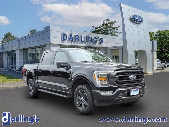 Used 2023 Ford F150 XLT w/ Equipment Group 302A High AWD/4WD image 3