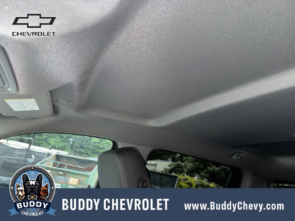 Used 2026 Chevrolet Silverado 1500 LT Trail Boss w/ LT Trail Boss Premium Package AWD/4WD image 20