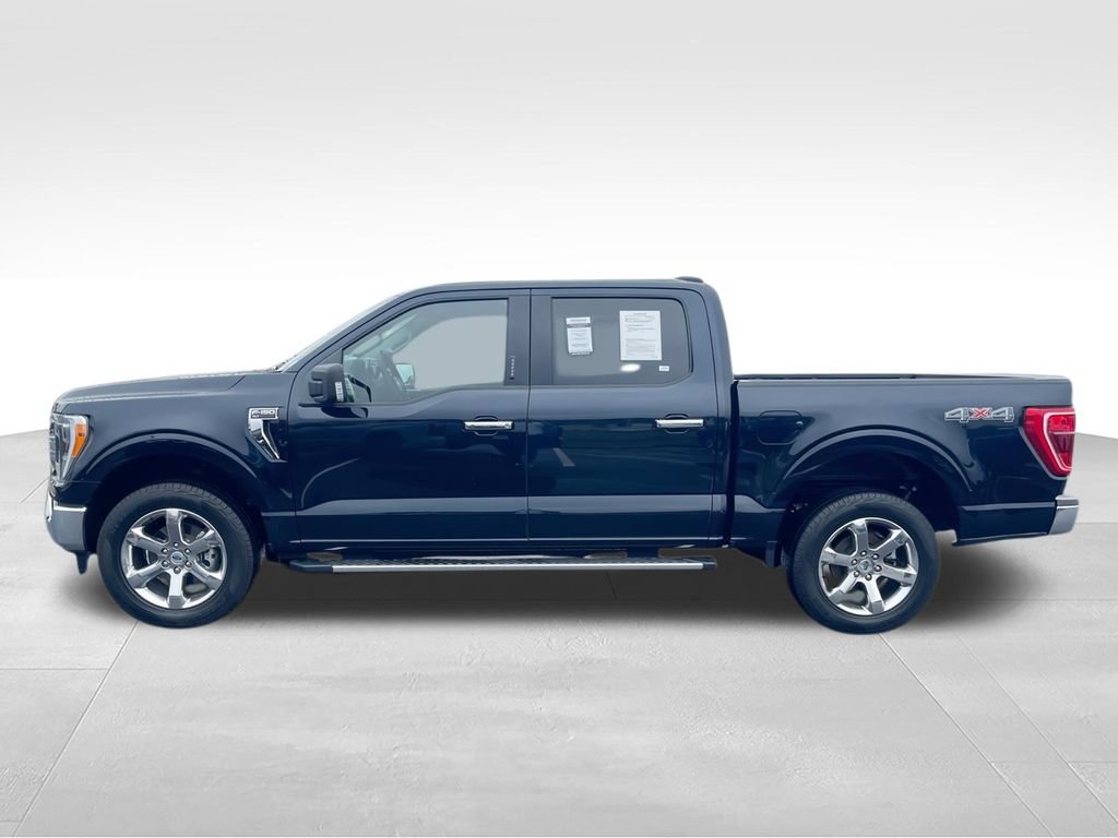 Used 2023 Ford F150 XLT w/ Equipment Group 302A High AWD/4WD image 5