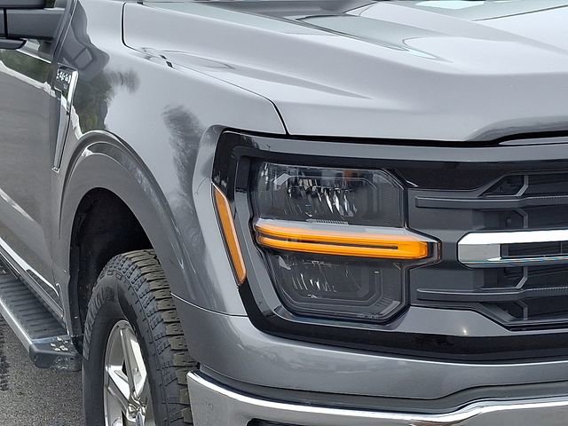 Used 2025 Ford F150 XLT w/ Equipment Group 301A Standard image 9