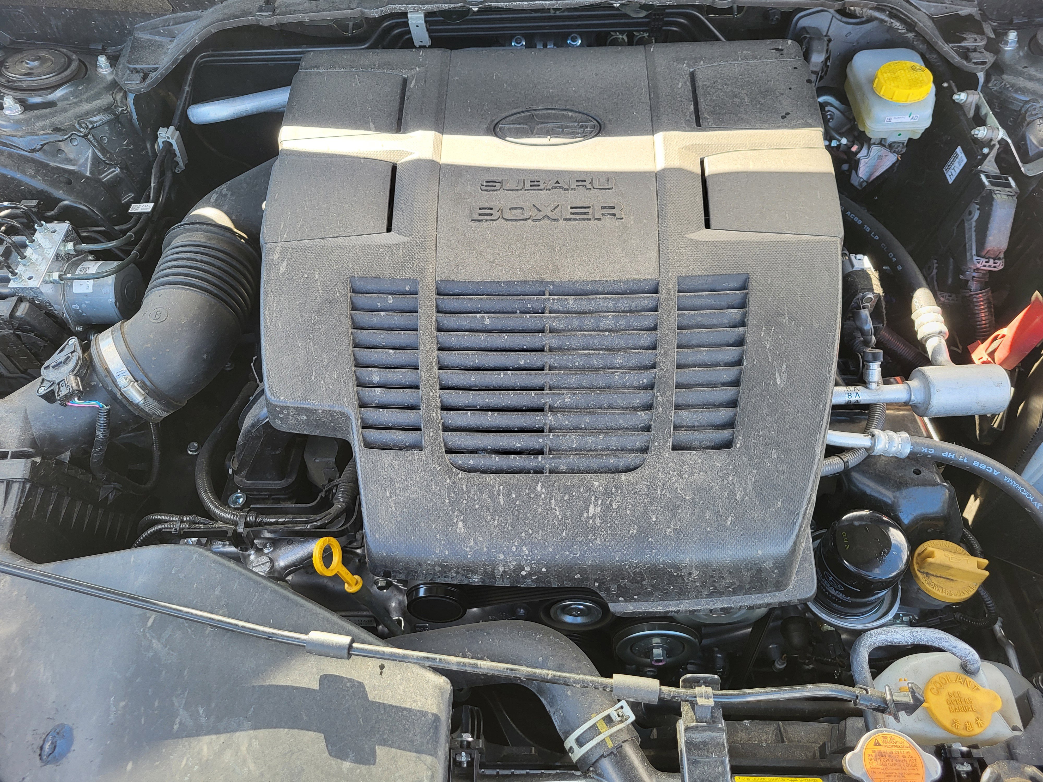 Used 2024 Subaru Forester Premium image 29