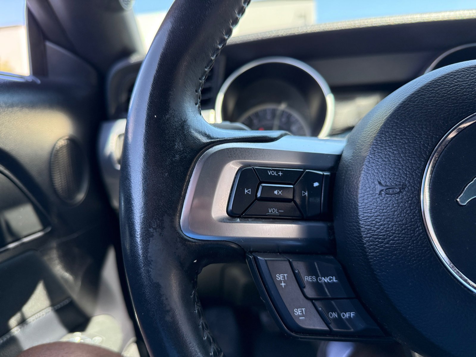 Used 2019 Ford Mustang GT w/ Equipment Group 301A RWD image 18