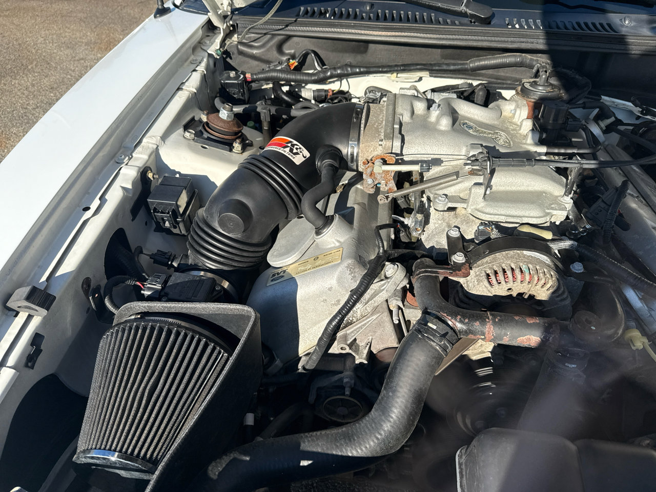 Used 1999 Ford Mustang Cobra image 33