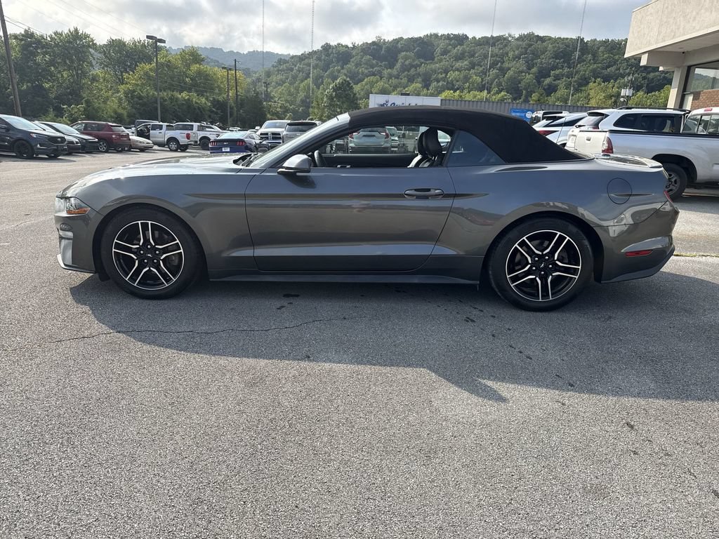 Used 2018 Ford Mustang Premium RWD image 3