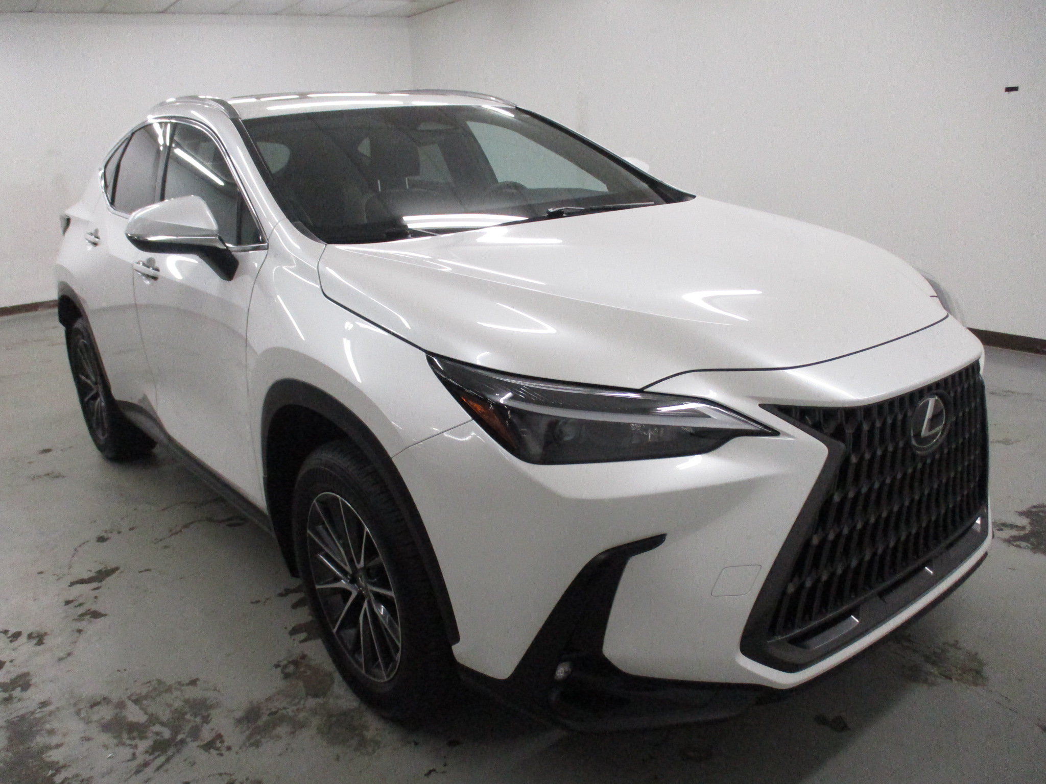 Used 2024 Lexus NX 350 AWD w/ Cold Area Package image 1