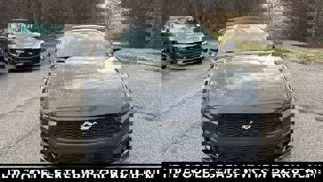 New 2026 Ford Mustang Premium image 5