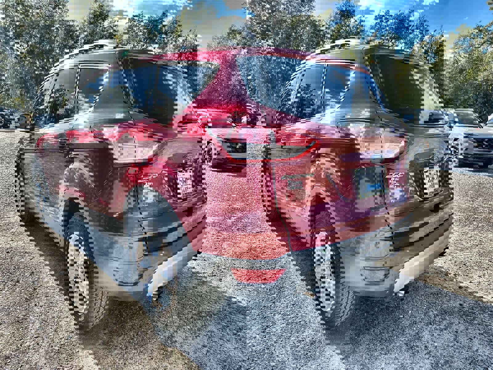 Used 2014 Ford Escape SE w/ Equipment Group 201A image 4