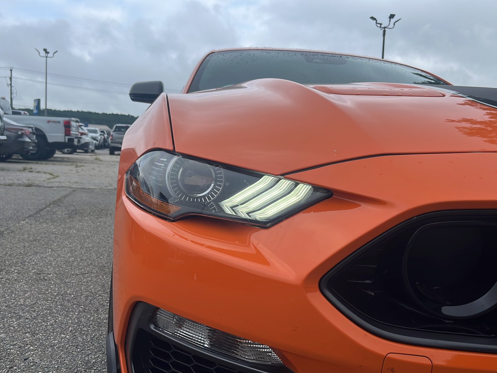 Used 2021 Ford Mustang Mach 1 w/ Equipment Group 700A RWD image 9