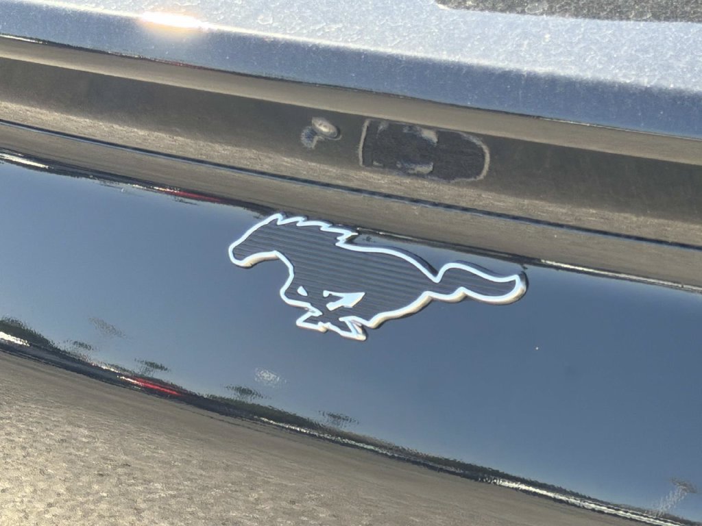 Certified 2024 Ford Mustang Mach-E Select RWD image 23