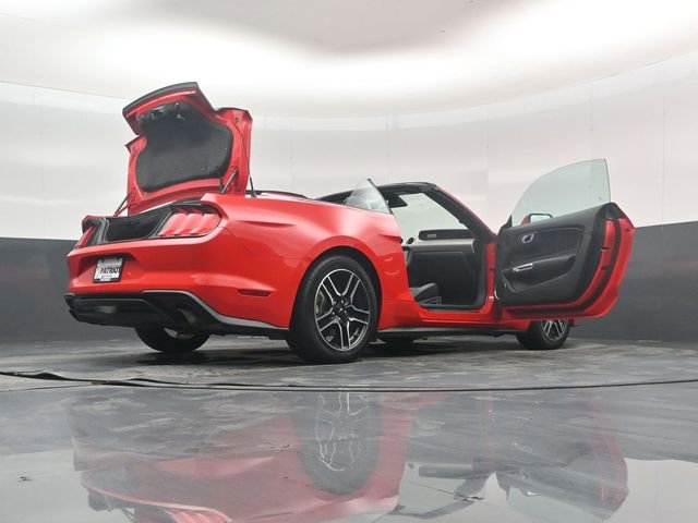 Used 2023 Ford Mustang Premium image 52