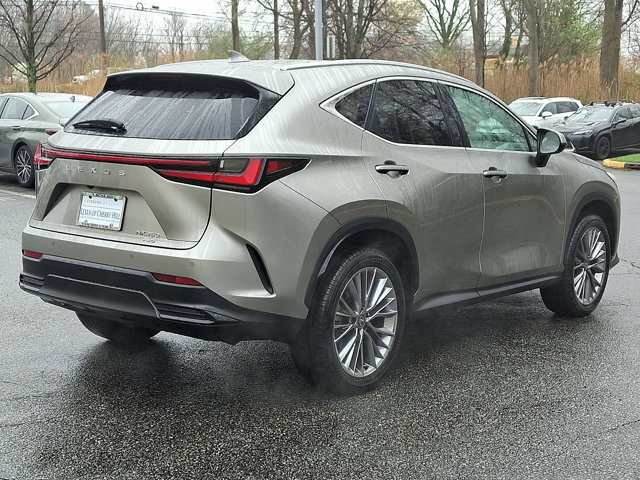 Certified 2026 Lexus NX 350 AWD w/ Cold Area Package image 6